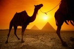 The-Top-Five-Reasons-Why-an-Egypt-Travel-Package-is-Right-For-You-300x198
